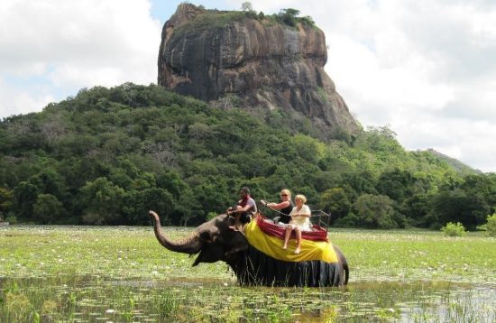 6f0f7db9add5c80e65be107c35248b1e