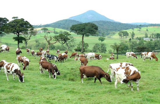 lmf-banner-background (1)