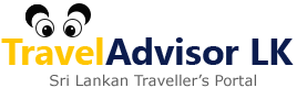 travel advisor